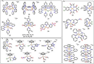 Molecular Catalysis in “Green” Hydrogen Production